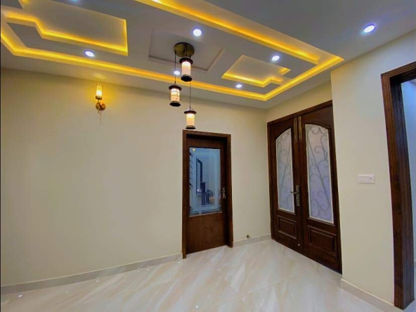 WhatsApp Image 2025-02-28 at 19.22.37_50437886